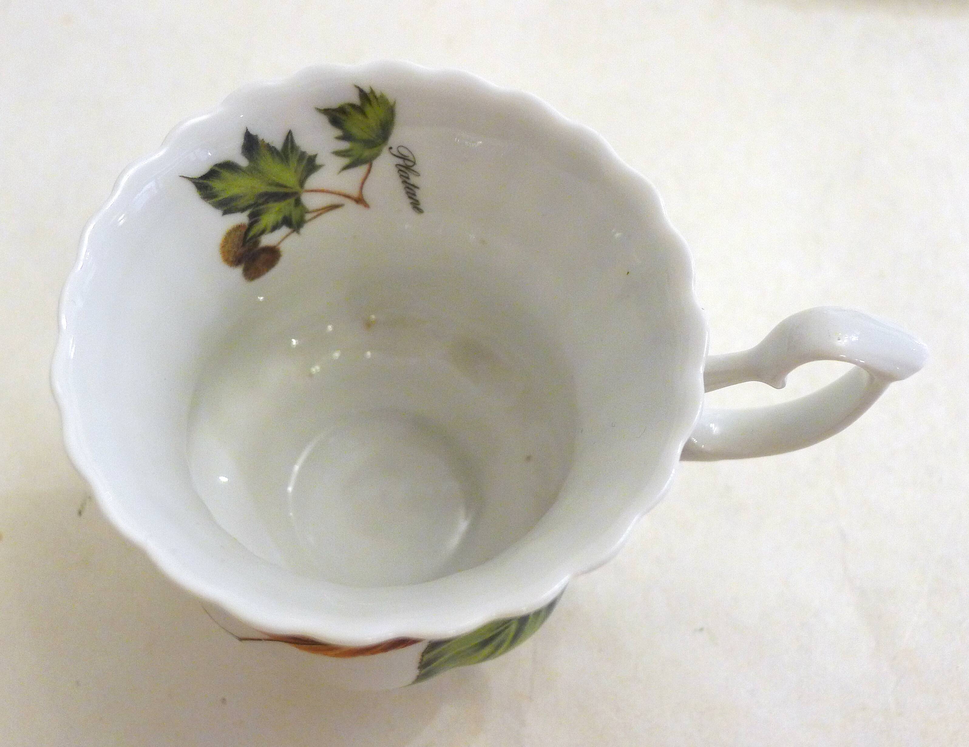 Tea cup, solitary service, naturalistic decoration, in Limoges porcelain.