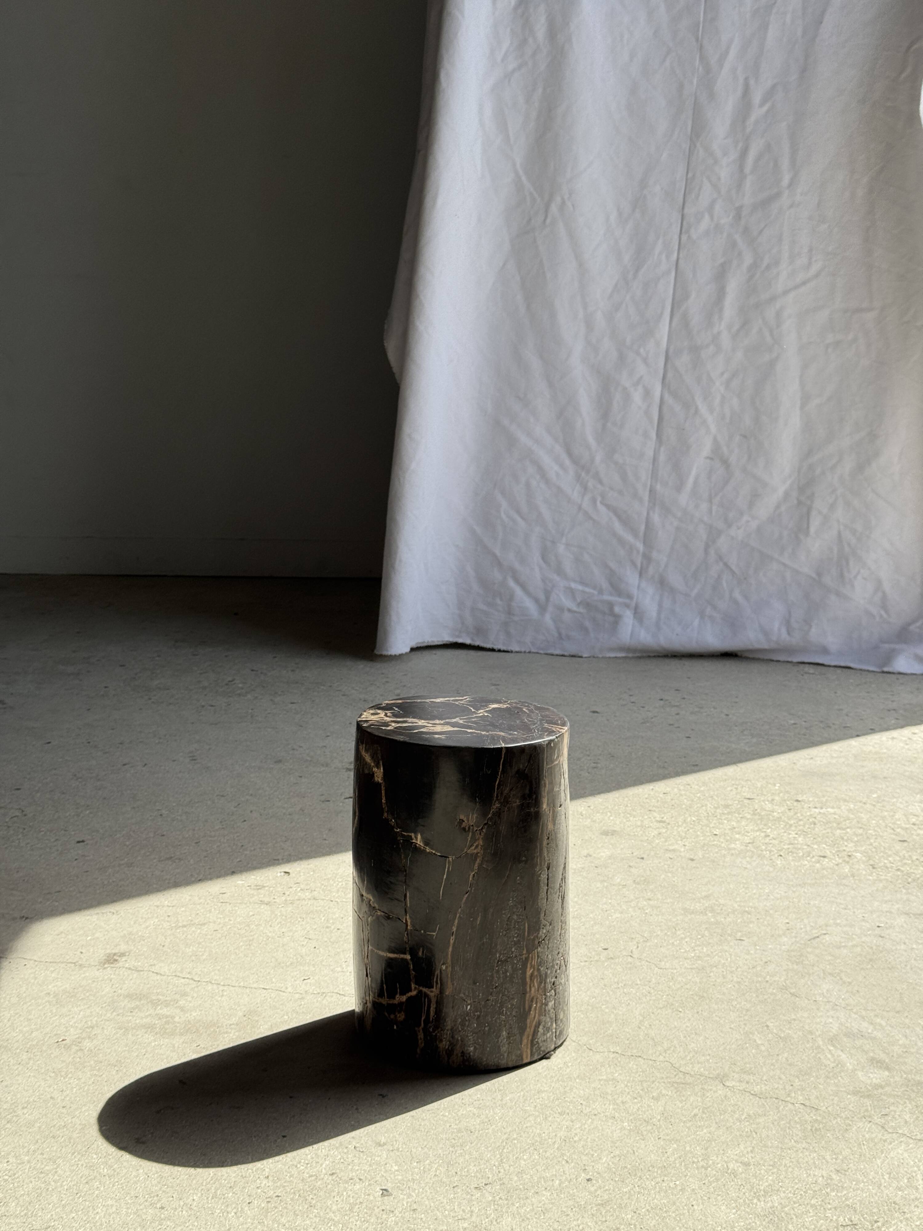 Table d'appoint en bois pétrifié noir