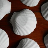 12 scallop shells porcelain biscuit