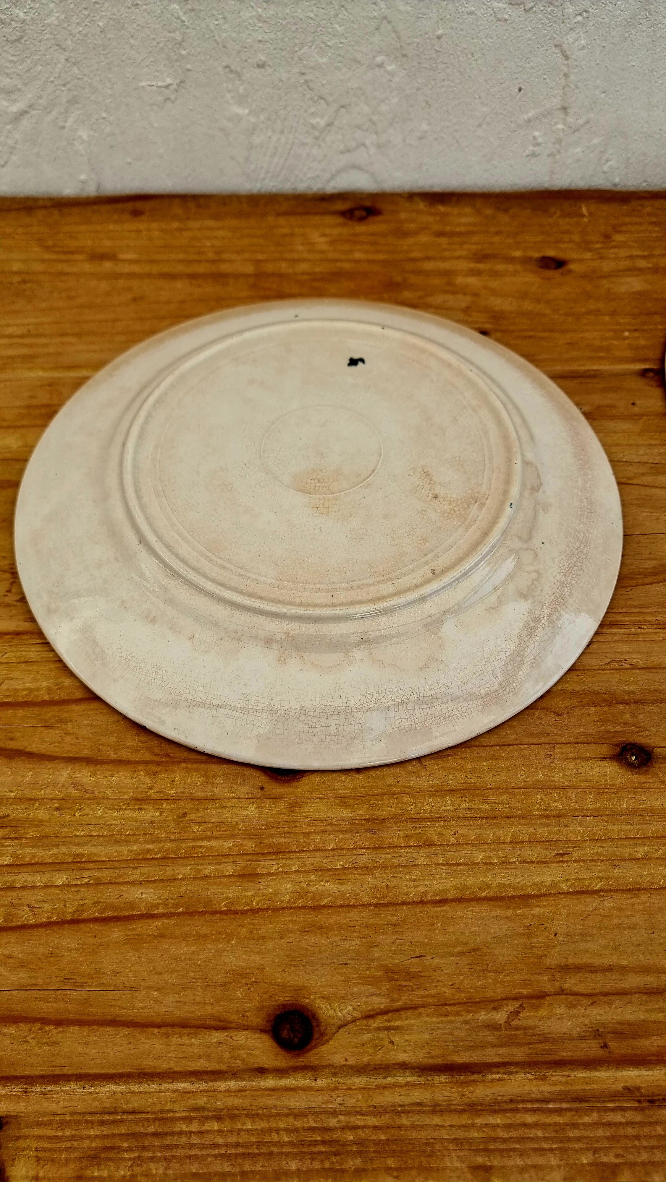 Set of 4 Terre de fer blue flat plates