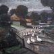 Oil painting on wood panel Basque Country Maurice Vagh Weinmann