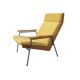 Fauteuil Lotus de Rob Parry pour Gelderland