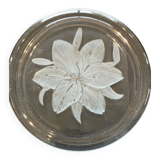 Pie dish