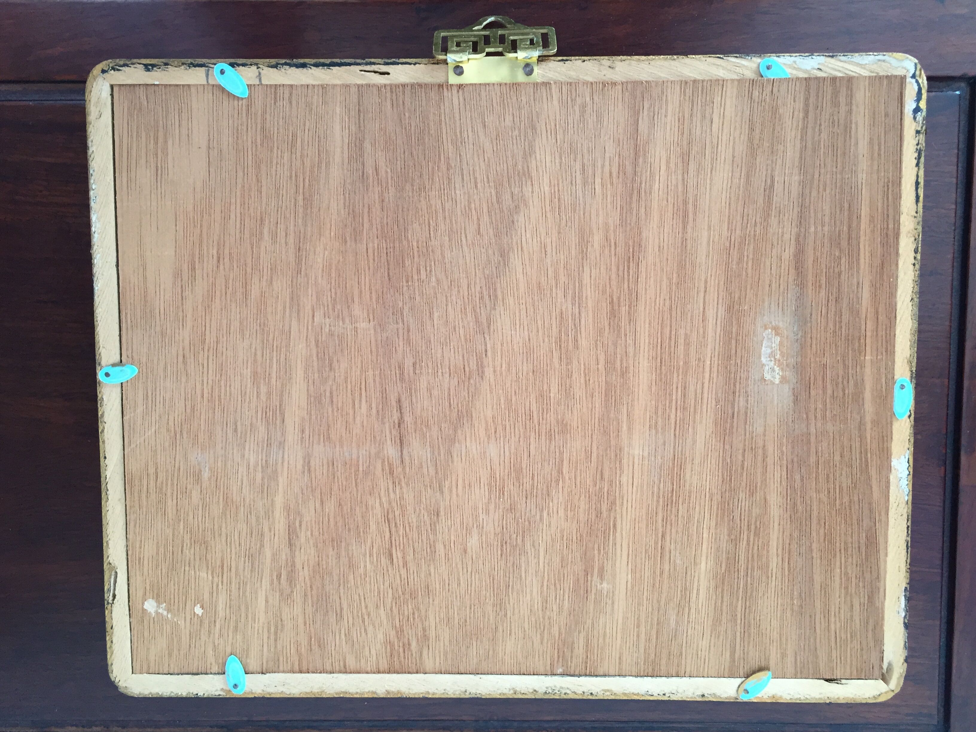 Frame of six naturalized butterflies