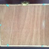 Frame of six naturalized butterflies