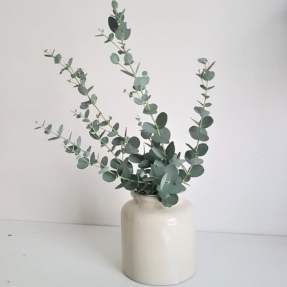 Old white mustard pot