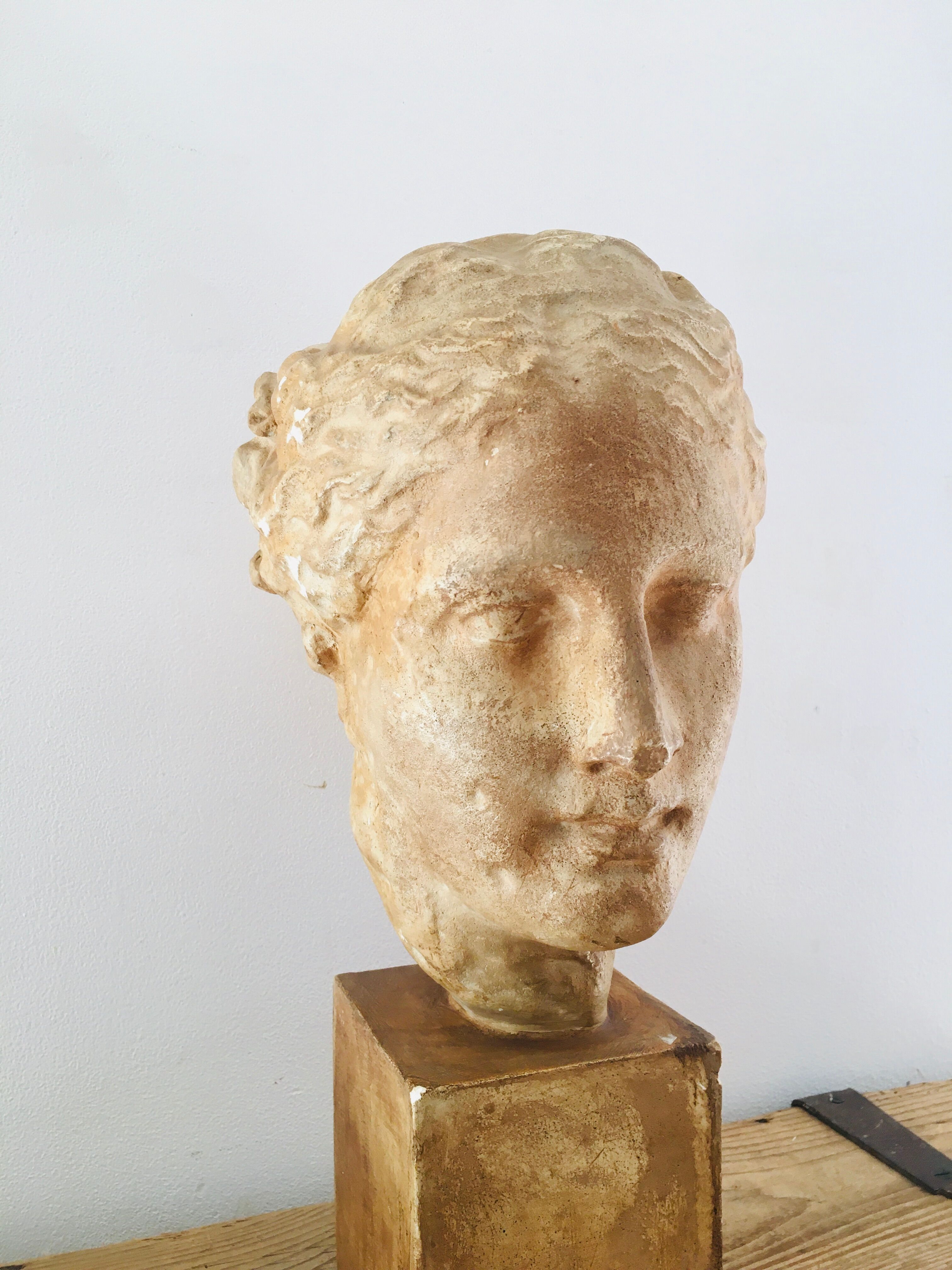Plaster head goddess Hygie