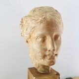 Plaster head goddess Hygie