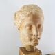 Plaster head goddess Hygie