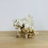 Old white coral 22 cm