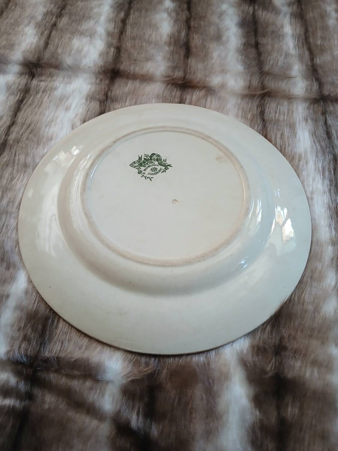 Old polychrome ironstone plate