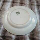 Old polychrome ironstone plate