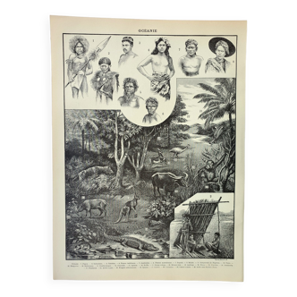 Gravure • Océanie, tribu, faune et flore, Australie • Affiche originale et vintage de 1898