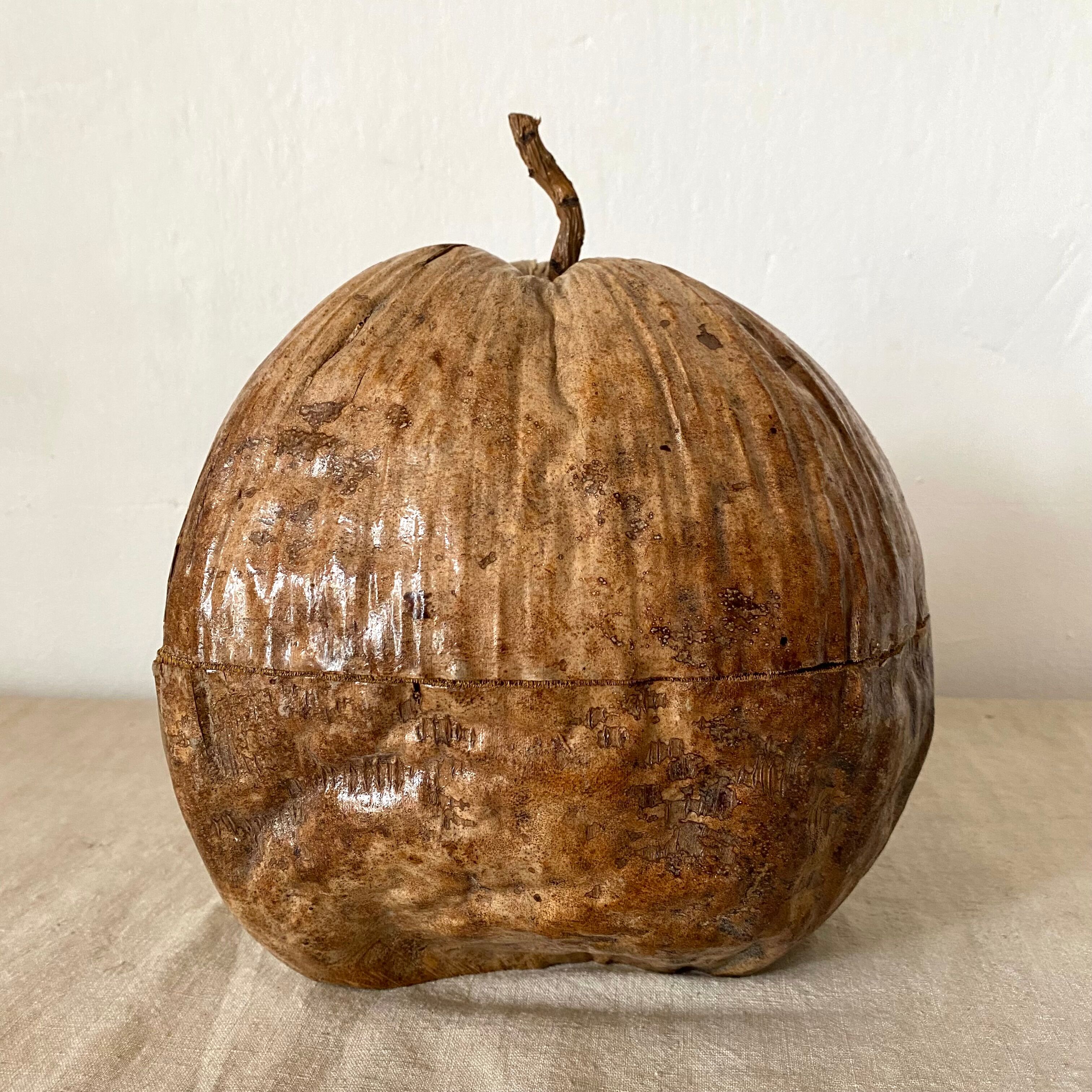 Coconut ice bucket