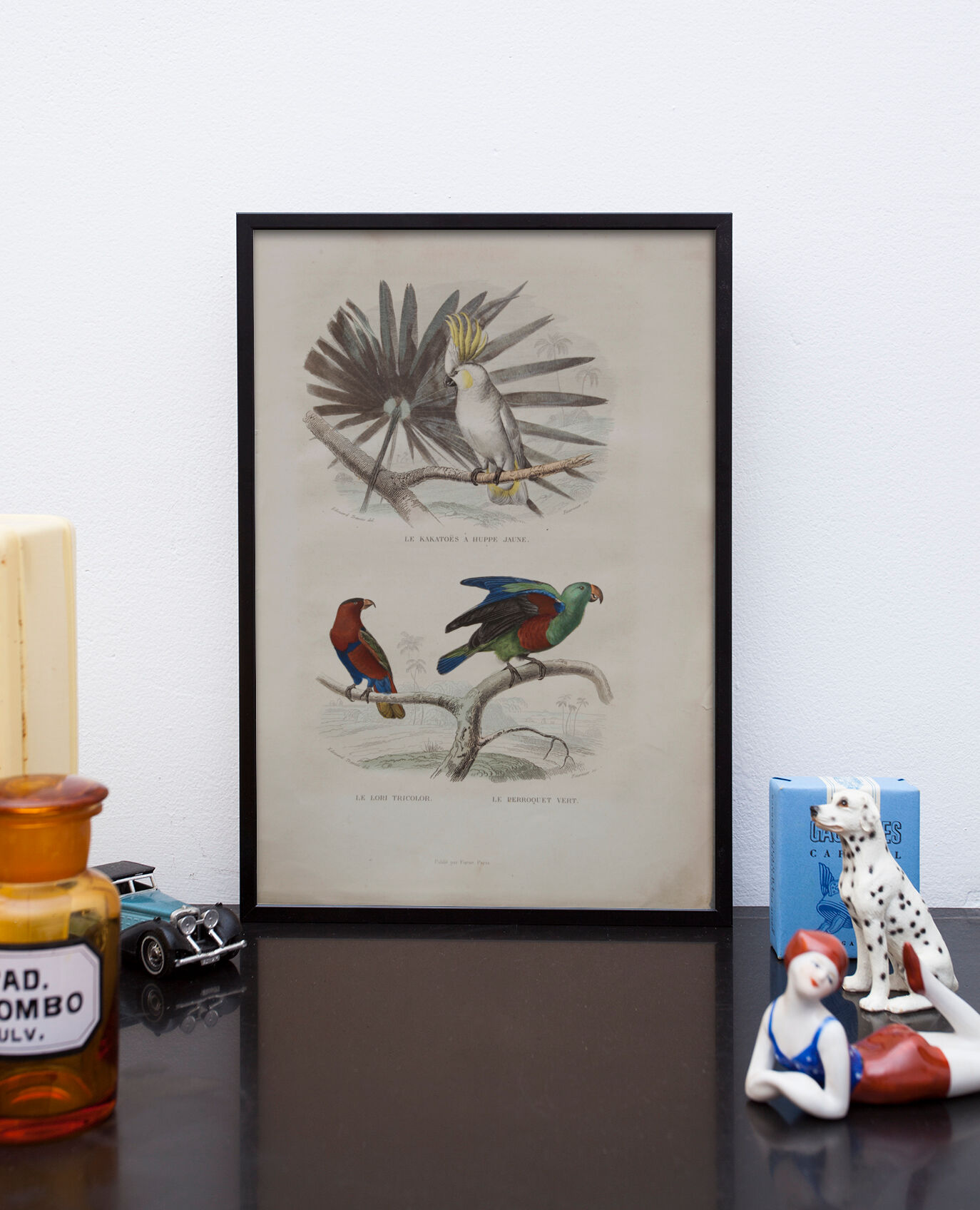 Lithography engraving vintage exotic birds