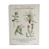 Vintage botanical board