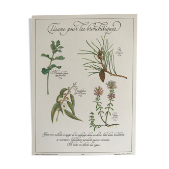 Vintage botanical board