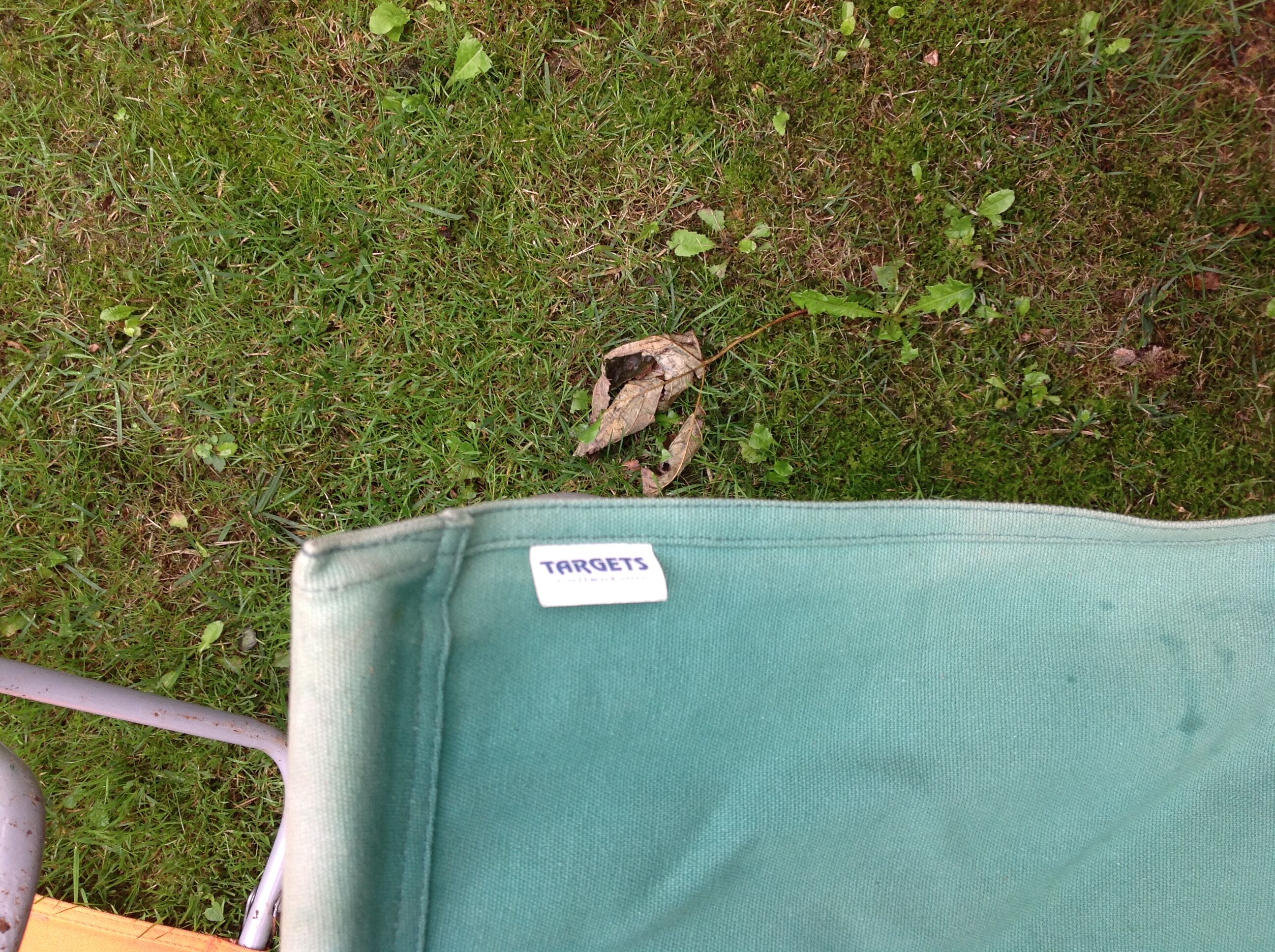 Duo de chaises camping