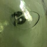 Demijohn