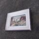 Carved wood painting, chalet decor by f raugel (popular art)