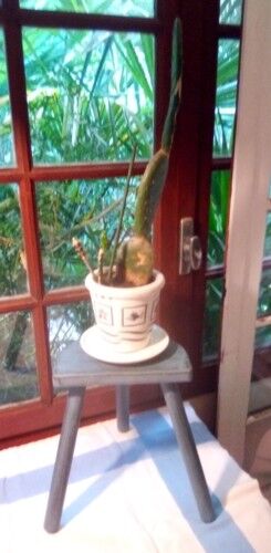 Black blue patina tripod stool