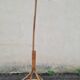 Vintage rattan floor lamp