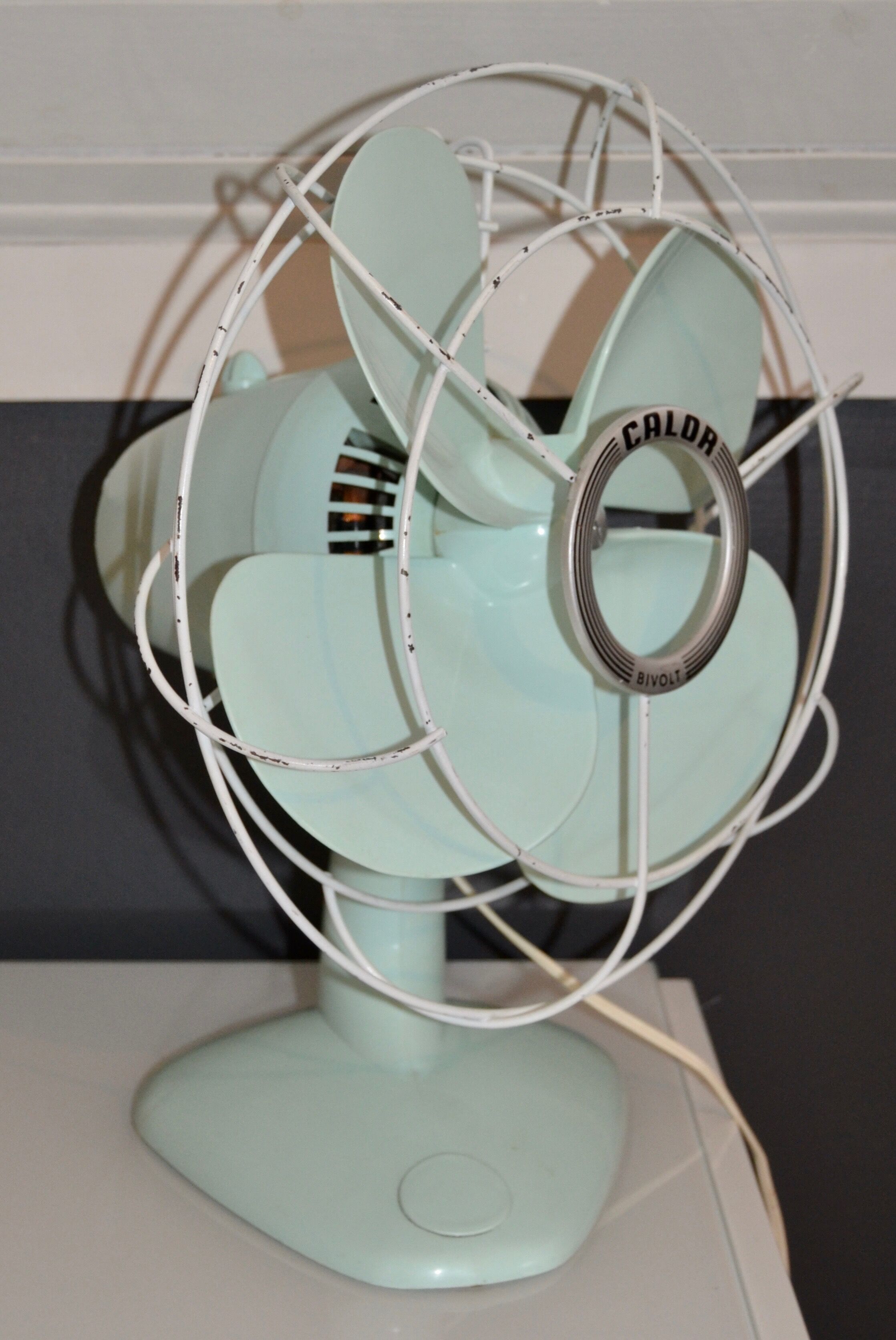 CALOR green mint (fan)