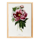 Poster about peonies, based on an old engraving from 1842.