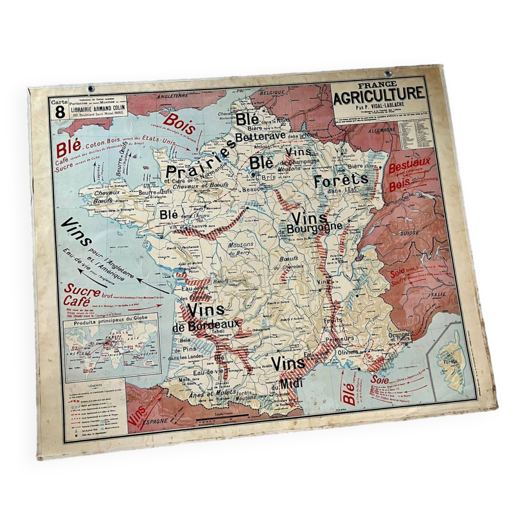 Carte Scolaire Vintage Originale – Maladies Et Ravageurs Des Fruits Et Légumes, Illustration éducative Rétro