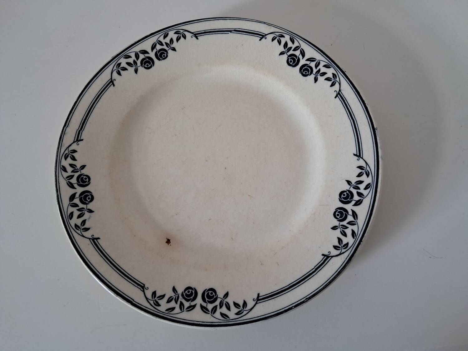 Saussure Saltworks Iron Earth Plates