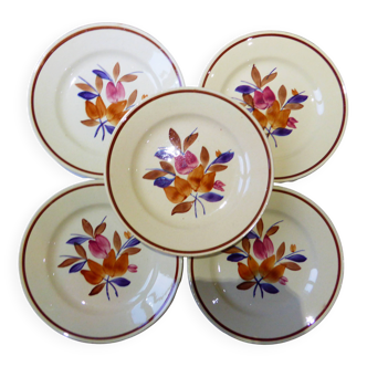 5 assiettes plates 2010146