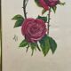 Peinture sur soie