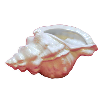 Empty cup vintage pocket shell shape conch conch shell iridescent white