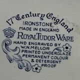 Pair of Royal Tudor Ware plates. England,