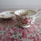 Royal Albert Porcelain Cup and Saucer (June)