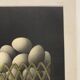 Illustration Still Life Avati