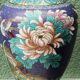 Vase in cloisonné enamel, China, peonies, birds