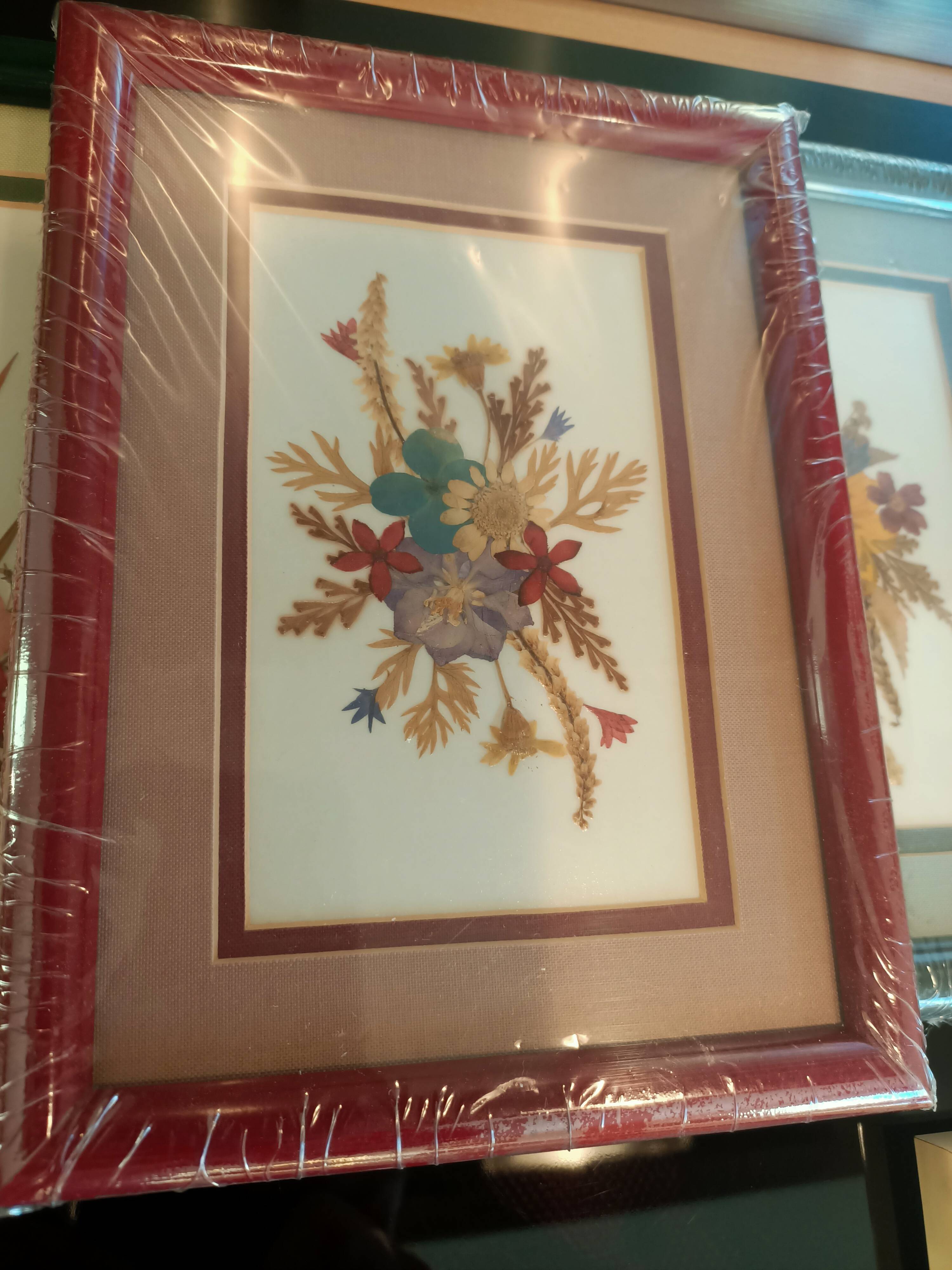 5 herbariums, framed floral arrangement