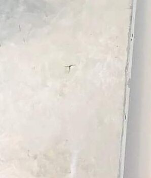 Vintage painting with exotic decorations