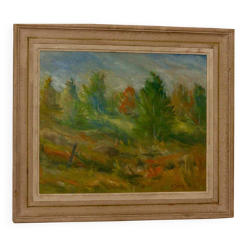 « Paysage d'automne » – D. Forsmark