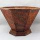 Basket or empty wooden pocket and cedar magnifying glass veneer