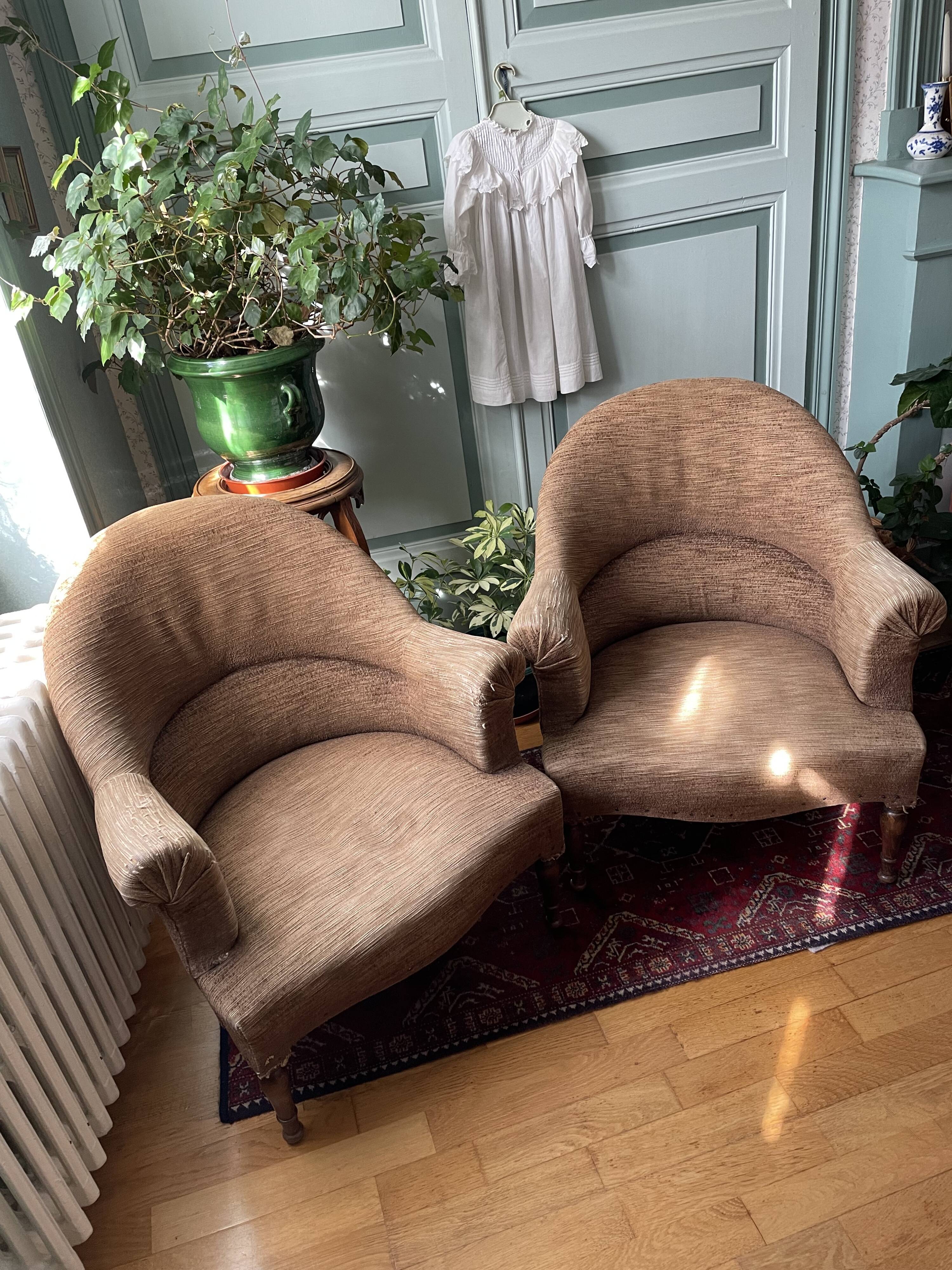 Toad armchairs