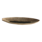 Jacques Lignier empty pocket cup