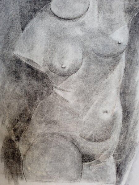 Drawing charcoal study nude femini statue 64x48cm