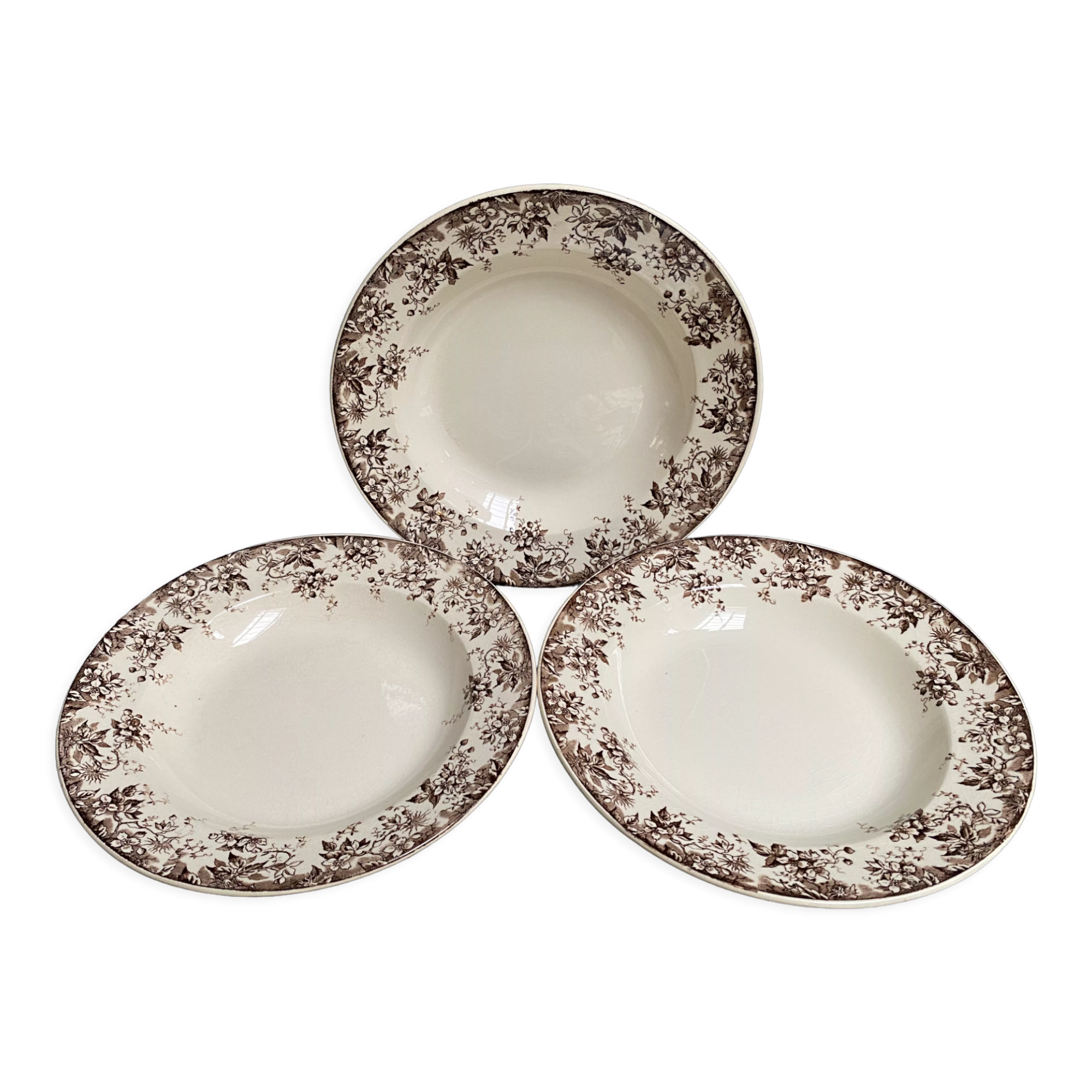 Old hollow plates earthenware of Sarreguemines