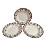 Old hollow plates earthenware of Sarreguemines