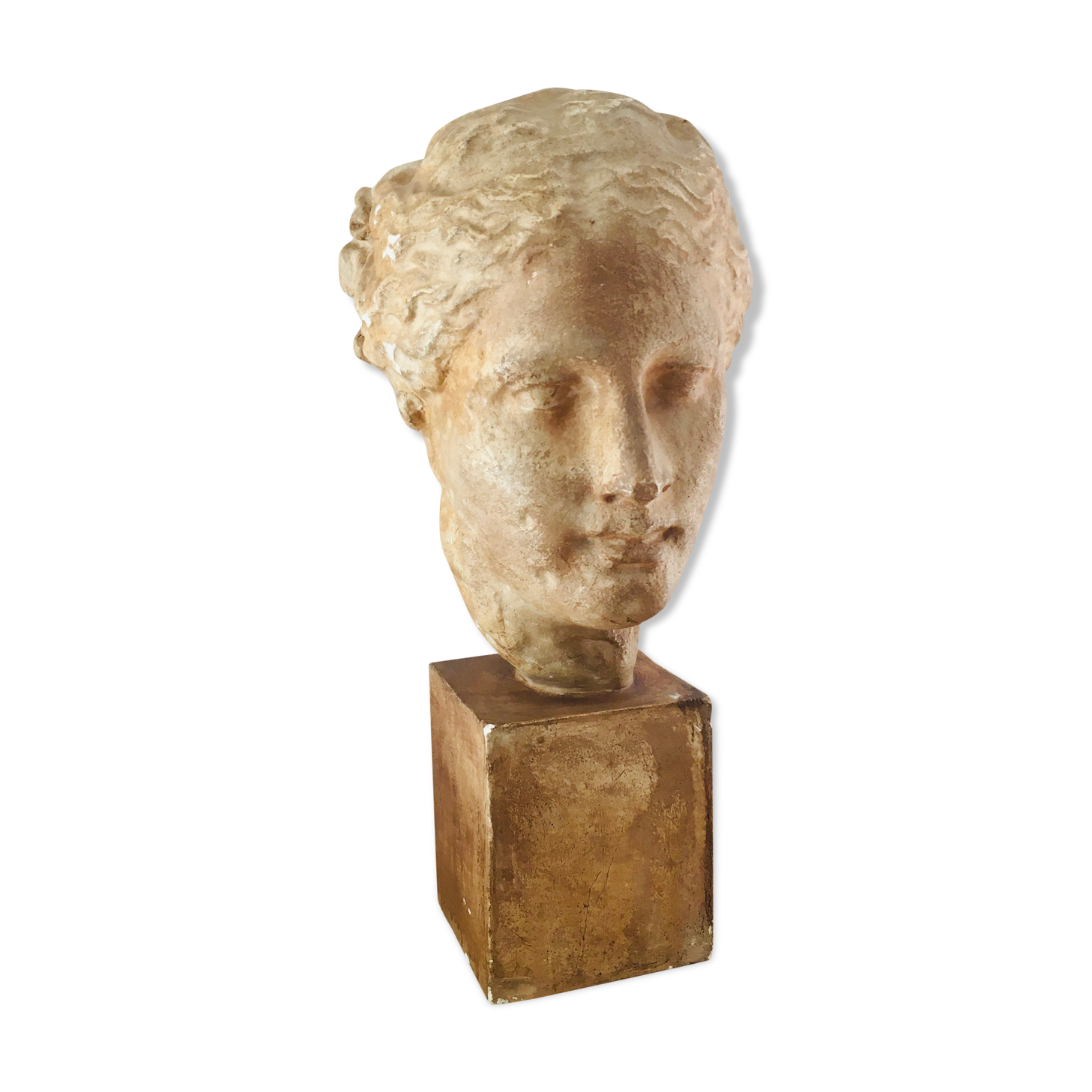 Plaster head goddess Hygie