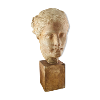 Plaster head goddess Hygie