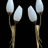 Brass and white opaline wall lights, "Tulip" type, 1950