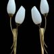 Brass and white opaline wall lights, "Tulip" type, 1950